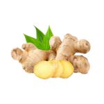 Ginger