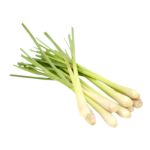 Lemon Grass